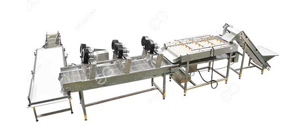 Dates Sorting Line