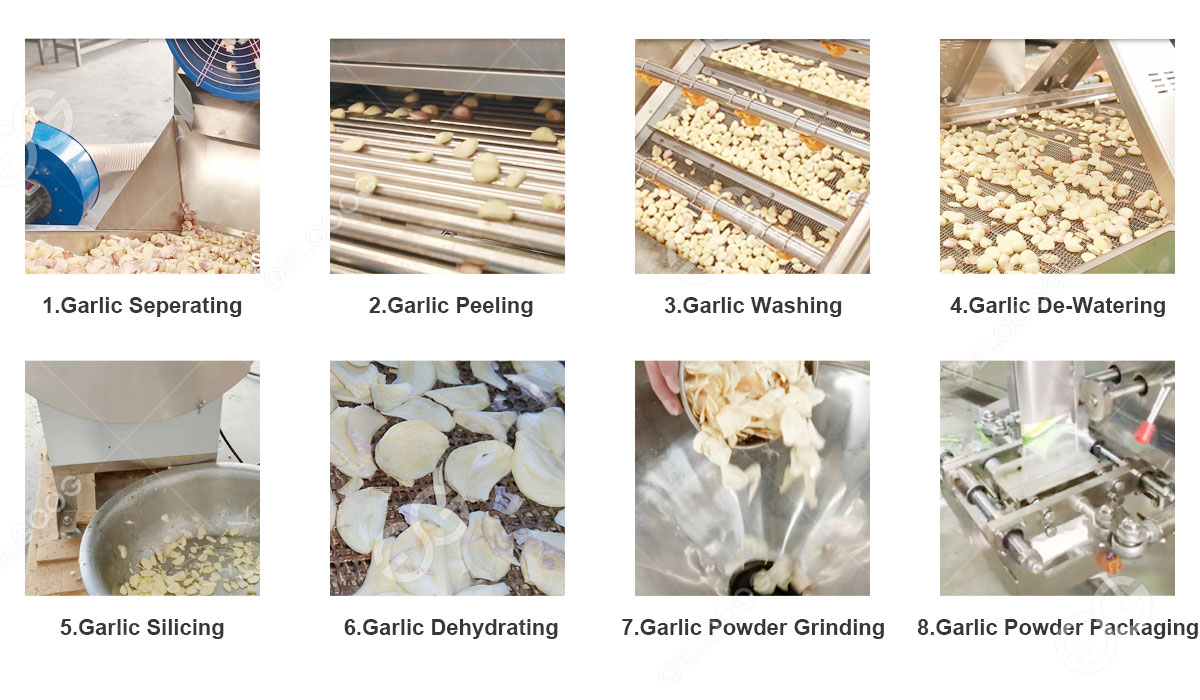 Complete Garlic Powder Production Processing Plant