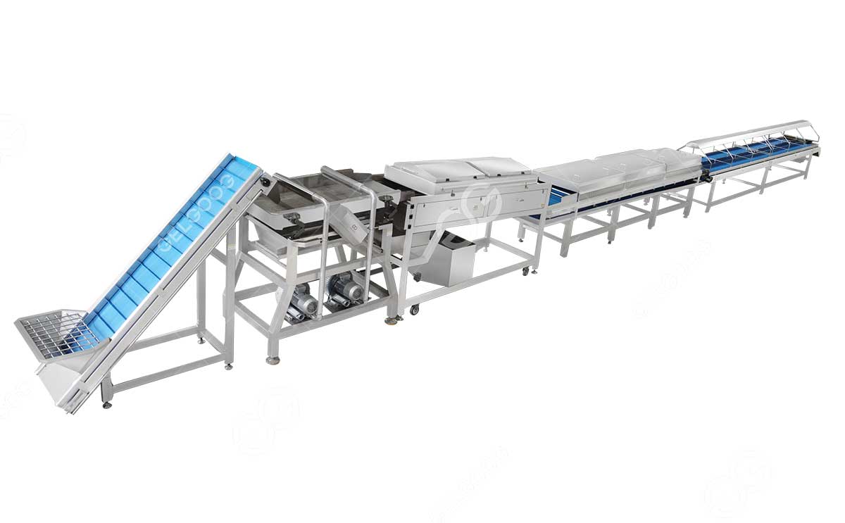 dates-washing-and-drying-machine2.jpg