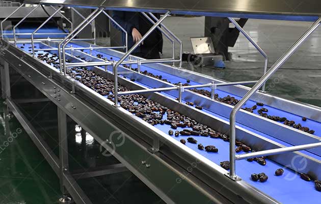 1dates-light-inspection-machine.jpg