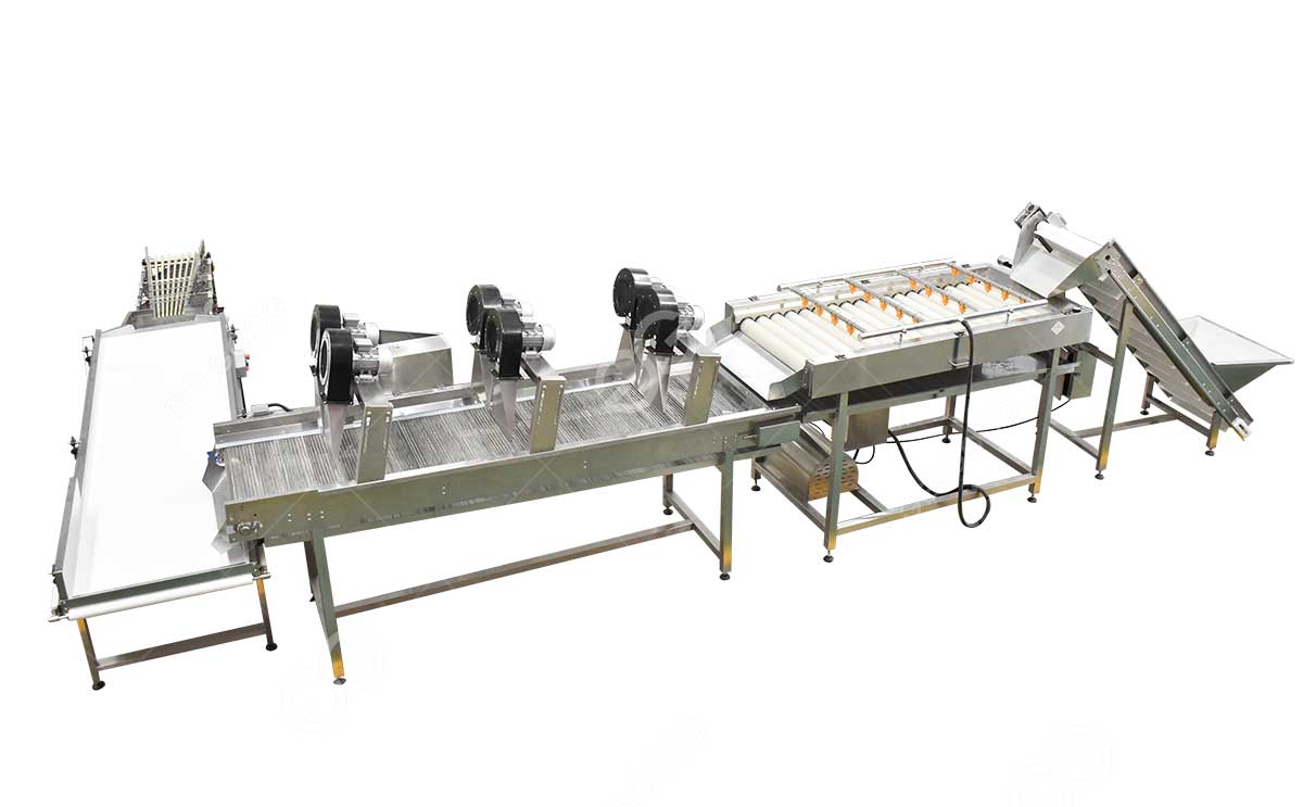 dates-sorting-line.jpg