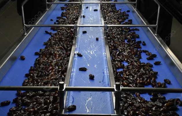 How Do You Wash And Dry Dates In Factory?