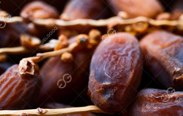 Which Country Is The Largest Exporter With Dates Export?