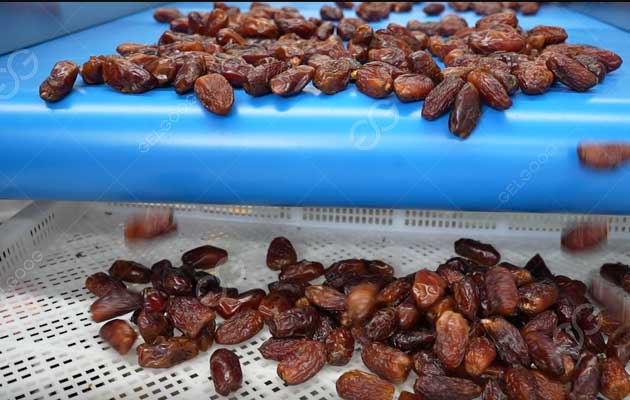 How Do You Clean Lion Dates In Plant?