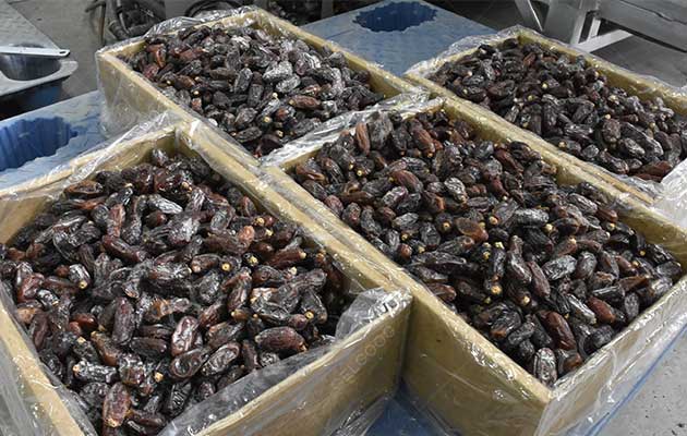How Is Date Fruit Processed In Factory?