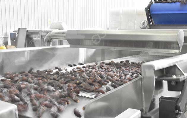Is It Necessary To Wash Dried Dates Fruit?