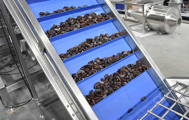 Dates Making Process In Factory