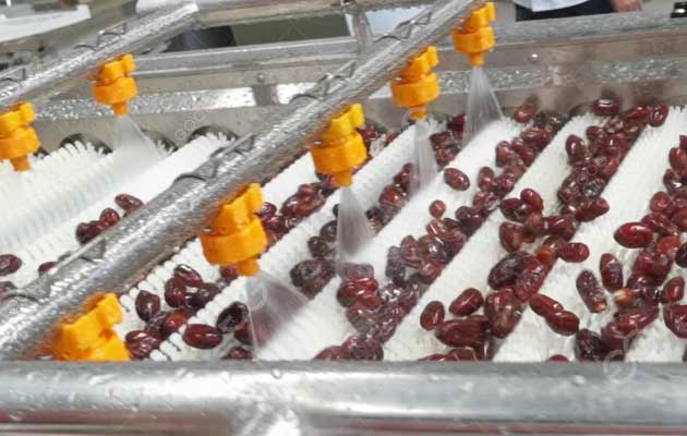 Discover Efficient Washing Solutions For Date Processing