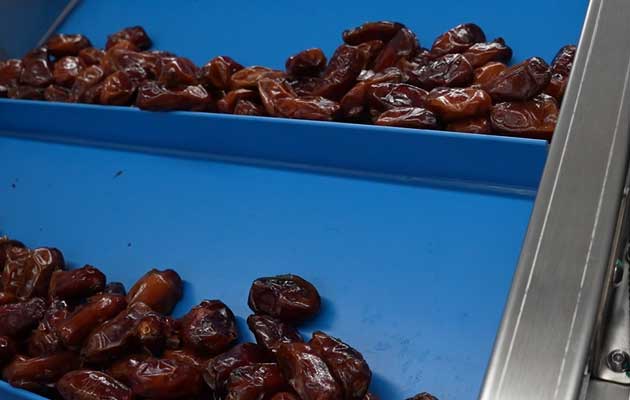 Are Dates Washed Before Packaging In Factory