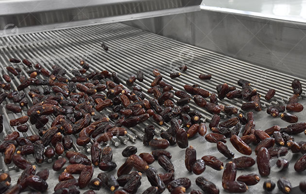 How Is Date Palm Processed?